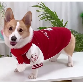 台灣犬棒球的價格推薦 22年8月 比價比個夠biggo