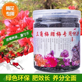 三角梅臘梅盆栽肥料 優惠推薦 22年10月 蝦皮購物台灣