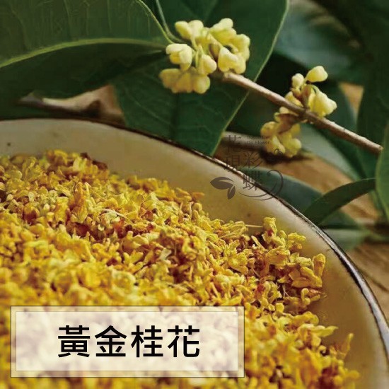 花現彩蝶 黃金桂花無硫磺無農藥殘留 蝦皮購物