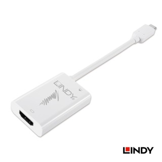 LINDY林帝 43178 - 主動式 USB3.1 TYPE-C TO HDMI2.0 4K/60HZ轉接器帶PD功能