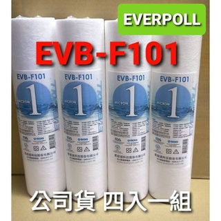 開發票 現貨 愛科濾淨 everpoll 1微米 pp ro 機 通規 EVB-F101 evb f101 濾芯 濾心