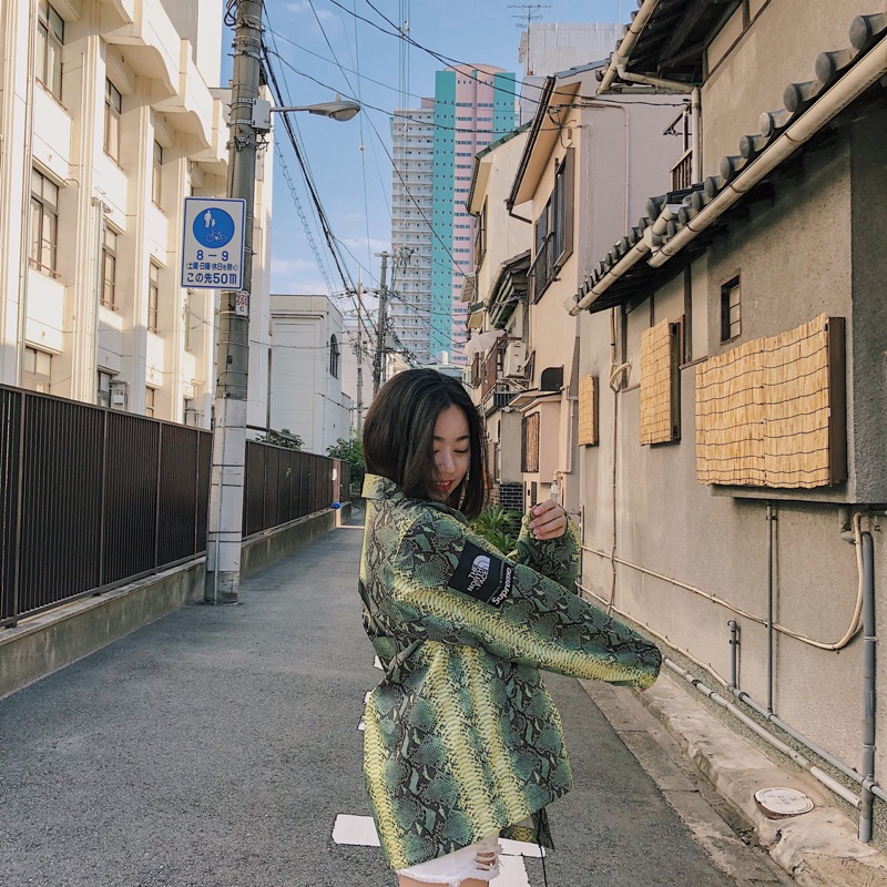 supreme the north face snakeskin taped seam coaches jacket green