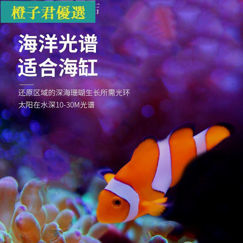 海水led燈 水族相關優惠推薦 寵物21年7月 蝦皮購物台灣