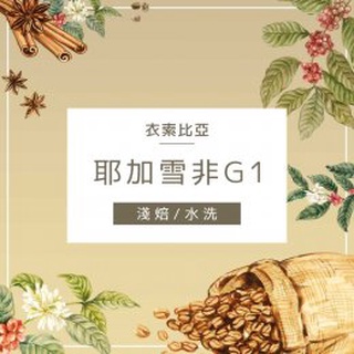 †星星咖啡† 衣索比亞 水洗 耶珈雪啡 科洽雷 花語哈圖莓 G1