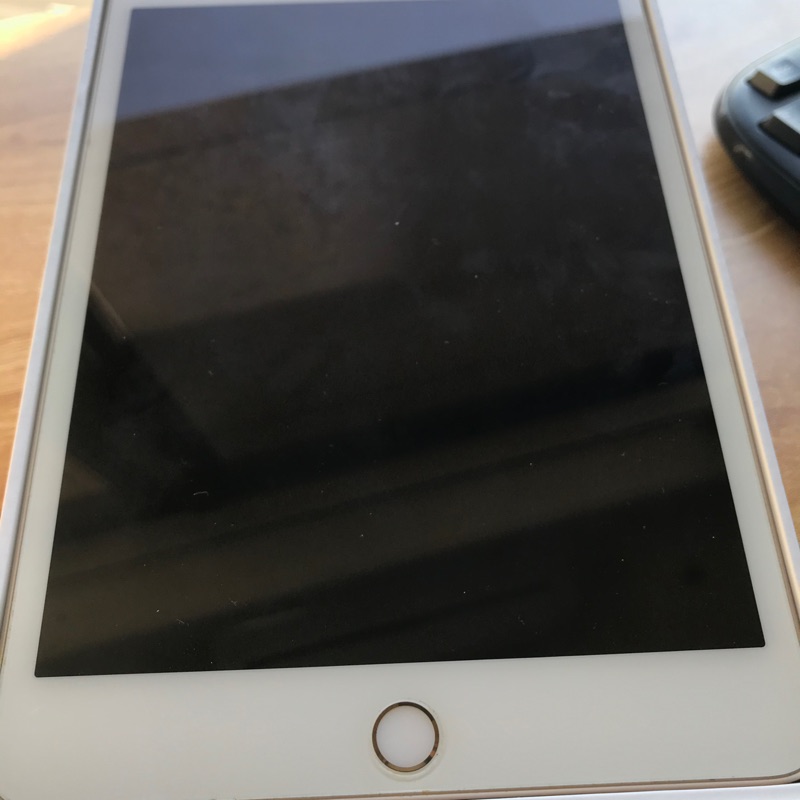 iPad mini 4 64gb wifi