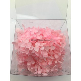 Truly 可刷卡 岩手縣みちのく永生花 不凋花小盒裝小葉安娜貝爾繡球花紫陽花 Ff1xx 蝦皮購物