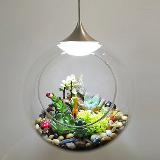 簡約現代 北歐田園微景觀水養植物生態中島玻璃圓球吊燈|現代風|簡約風流行燈【實體門市】