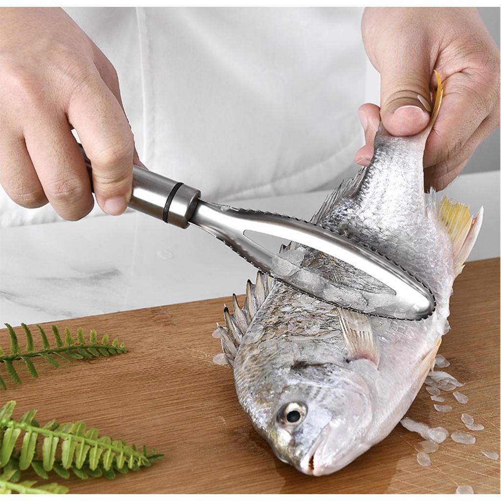 304不鏽鋼魚鱗刮刀304打鱗器魚鱗刨刀打鱗器去魚鱗片工具殺魚工具 蝦皮購物