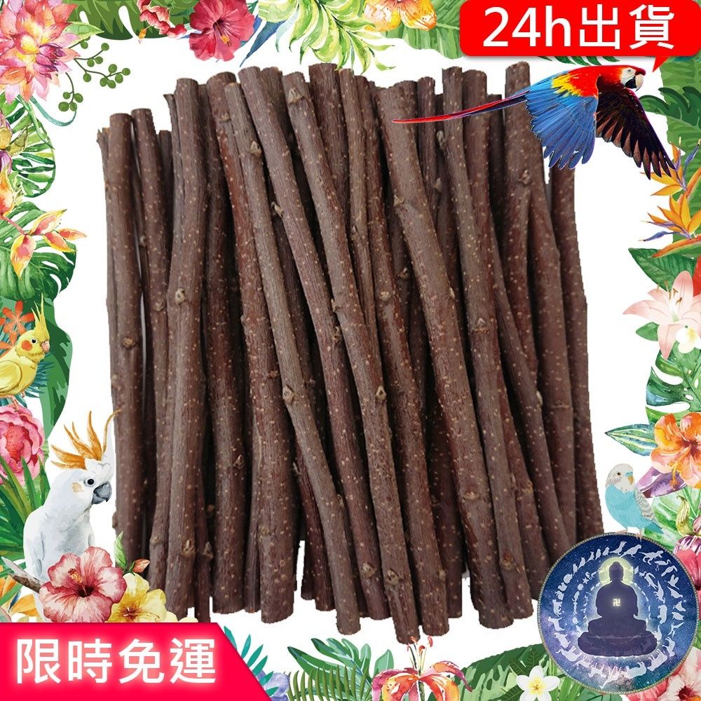 【寵物覺醒24h出貨】鸚鵡蘋果木樹枝木枝磨牙鸚鼠兔子黃金鼠兔老公公鼠三線鼠鼠兔啃咬玄鳳和尚虎皮