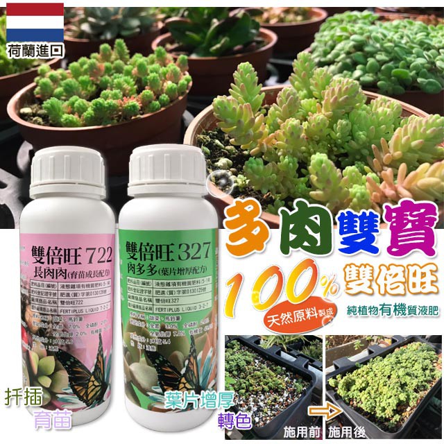 現貨 全館790免運 超值 多肉雙寶 荷蘭雙倍旺純植物有機質液肥長肉肉 肉多多一次擁有育苗生長期兼顧 蝦皮購物