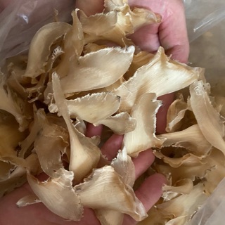水鯊中勾魚翅1份100克～各式魚翅，花膠，乾鮑，車輪牌鮑魚罐頭，南北貨禮盒