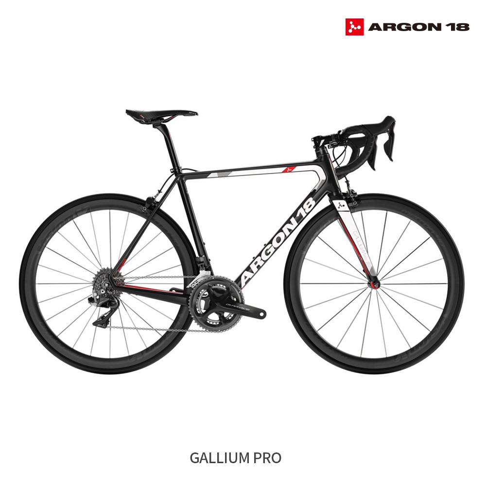 【ARGON18】2021 GALLIUM PRO旗艦款碳纖維輕量爬坡型 公路自行車