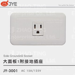 JYE 中一電工 大面板系列開關 插座 JY-3001