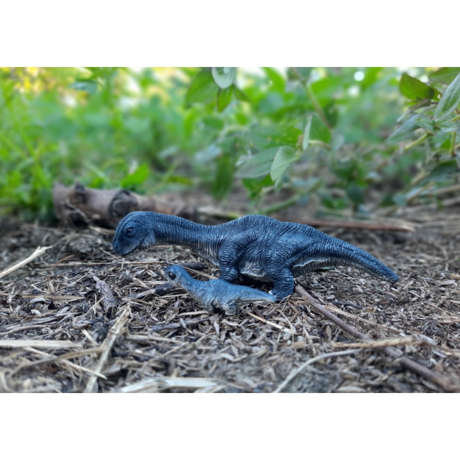 Uma 未知生物系列 魔克拉姆邊貝gk完成品 蝦皮購物