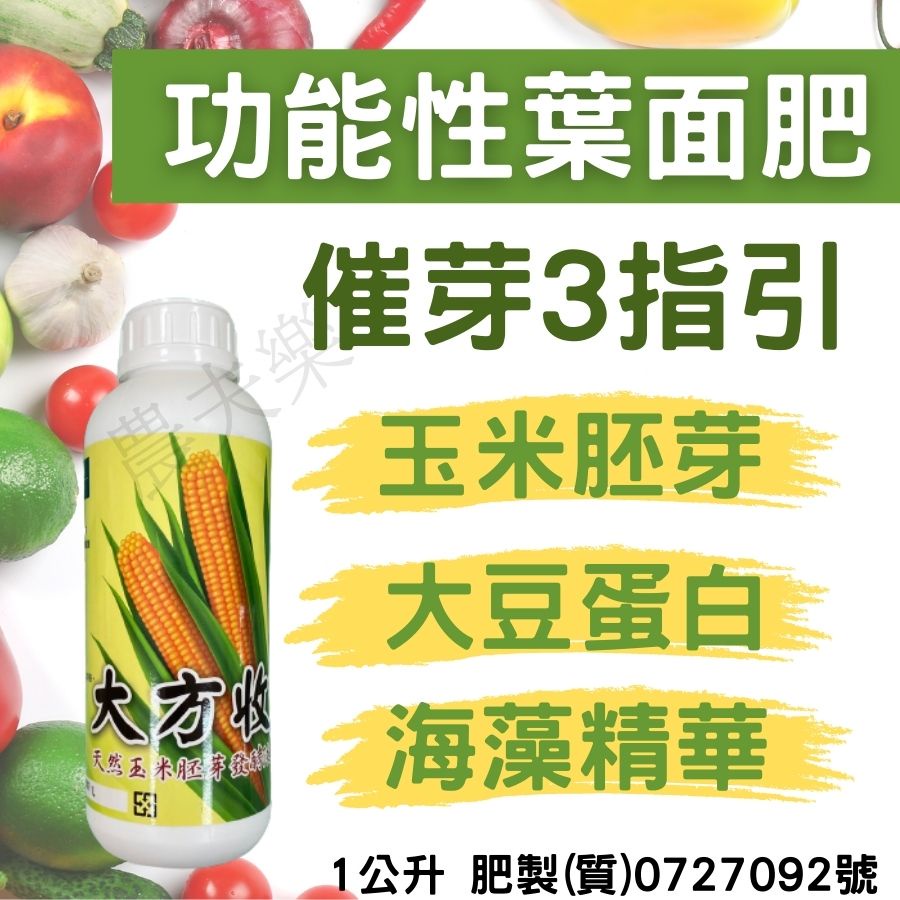 (現貨)液肥 花肥 玉米素 1L側芽 植物肥料 液態肥 液體肥料 葉面肥 肥料 大方收