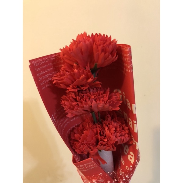 花束💐康乃馨花束花包裝含紙盒