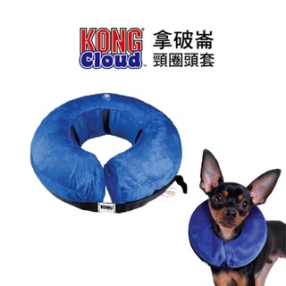 KONG‧Cloud Collar 拿破崙頸圈頭套XS~XL 寵物頭套 町町