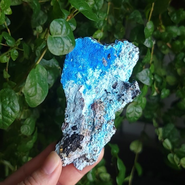 水晶花園－礦晶－貴州 三水鋁 絨銅礦 孔雀石