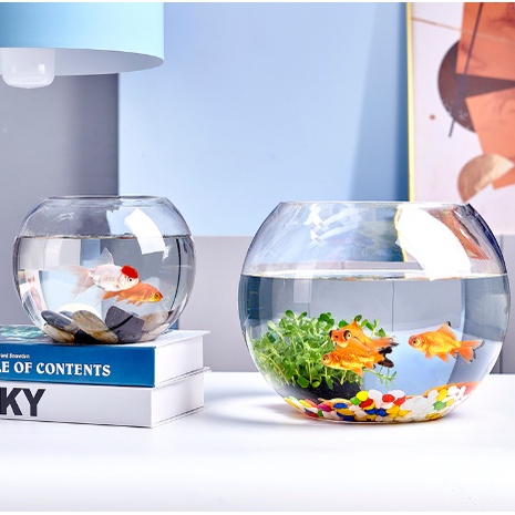 #玻璃小魚缸 *新款辦公室小魚缸加厚透明玻璃烏龜缸客廳家用桌面圓形迷你小型金魚缸