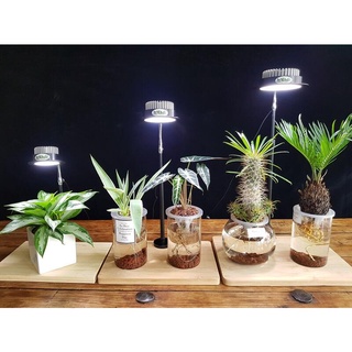 UVa全光譜橫置式燈板 仿太陽燈上色防徒led植物補光燈.植物燈.水族燈.多肉補光燈.植物生長燈.桌燈.檯燈..爬蟲燈