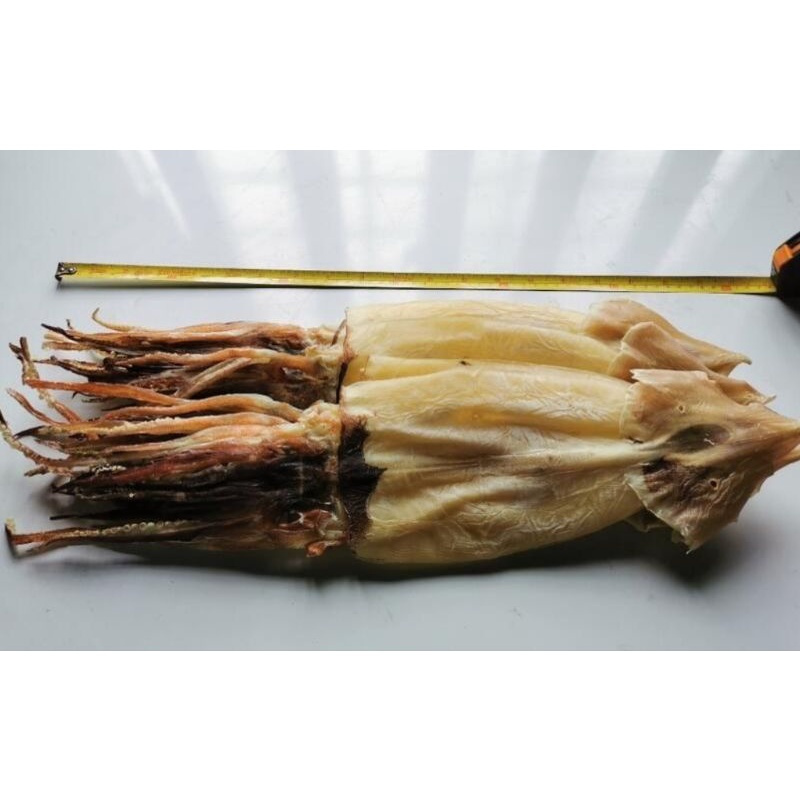 吊片乾魷魚（100-125克一尾 10送一尾）今年最新鮮入港  阿根廷魷魚 魷魚乾 一夜乾