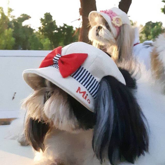 漁夫帽 西施雪納瑞寵物帽客製 遮陽帽 犬帽子 狗帽子 蝦皮購物