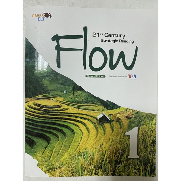 Flow-21st Century Strategic Reading
