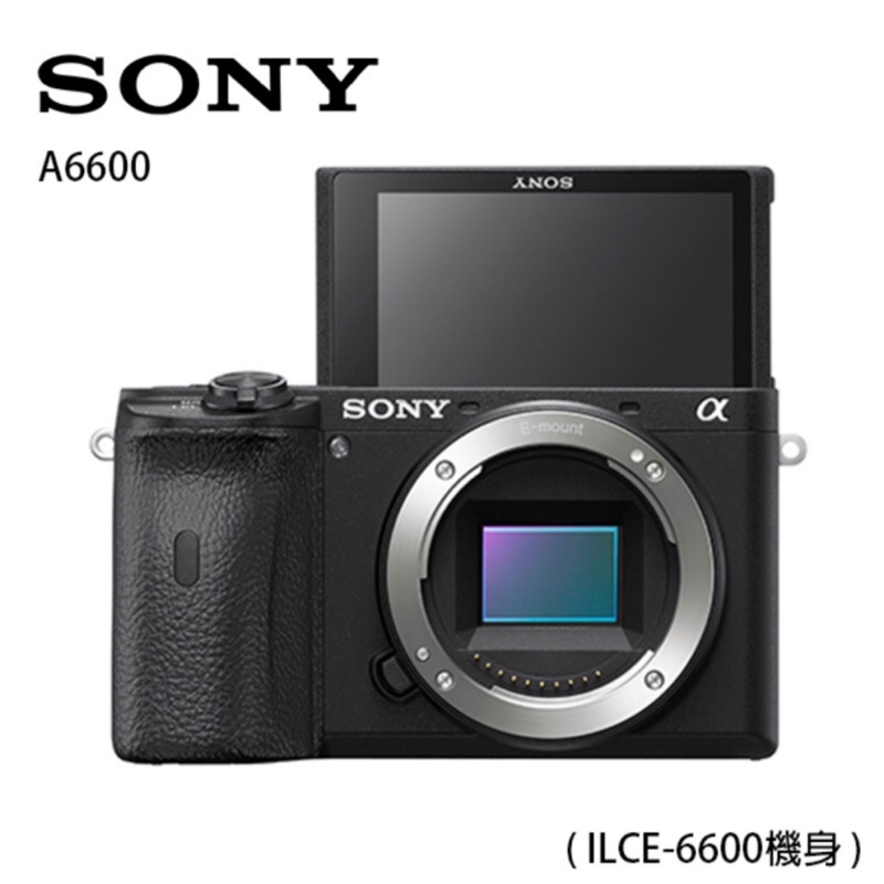 SONY A6600 ILCE-6600 數位單眼相機 單機身 全新公司貨