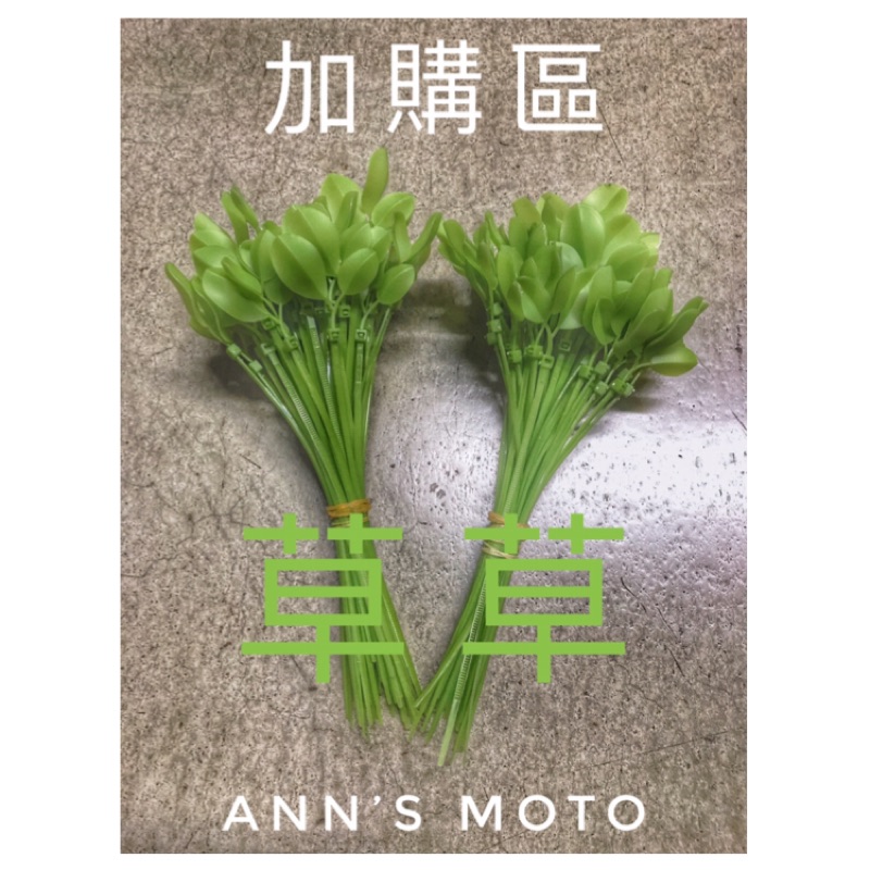 [Ann’s Moto] 衝評價❗️ 滿百 加購 1元加購 小草 束帶