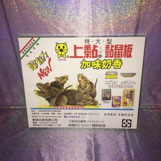 上黏黏鼠板 大(2入) 加味奶香 特大型 PROCATCH 捕鼠板 黏鼠器 黏蟲板 粘鼠板