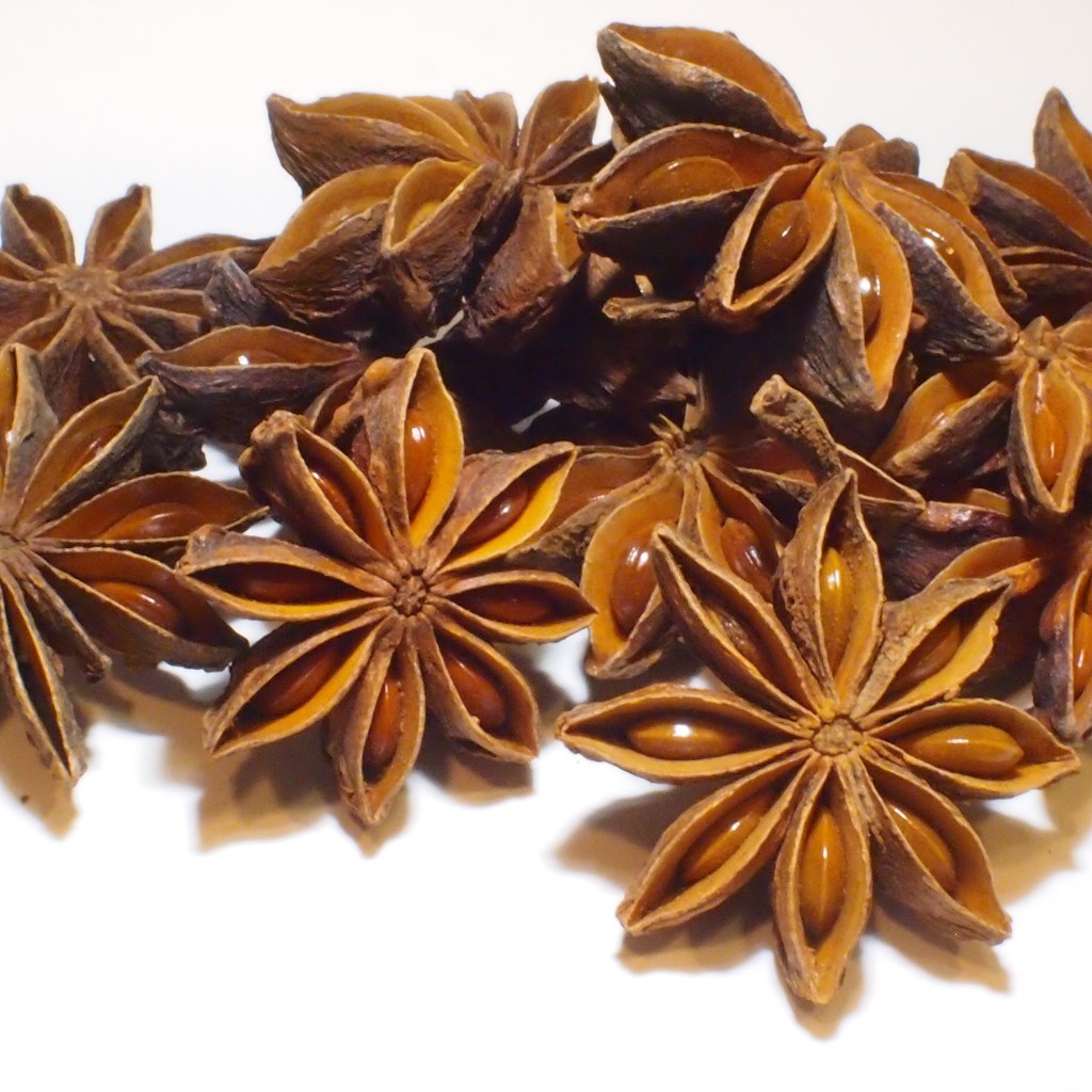 八角茴香 Star Anise 蝦皮購物