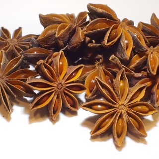 八角茴香(star anise)