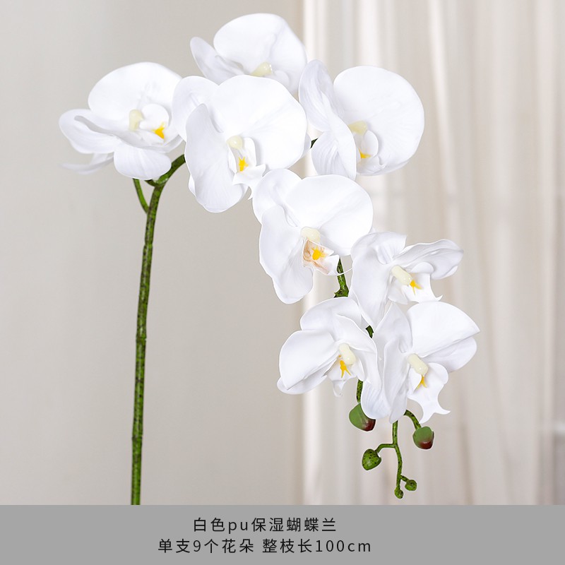 精選品質單枝蝴蝶蘭仿真花客廳插花餐桌花束手感保濕假花裝飾花藝花材套裝 蝦皮購物