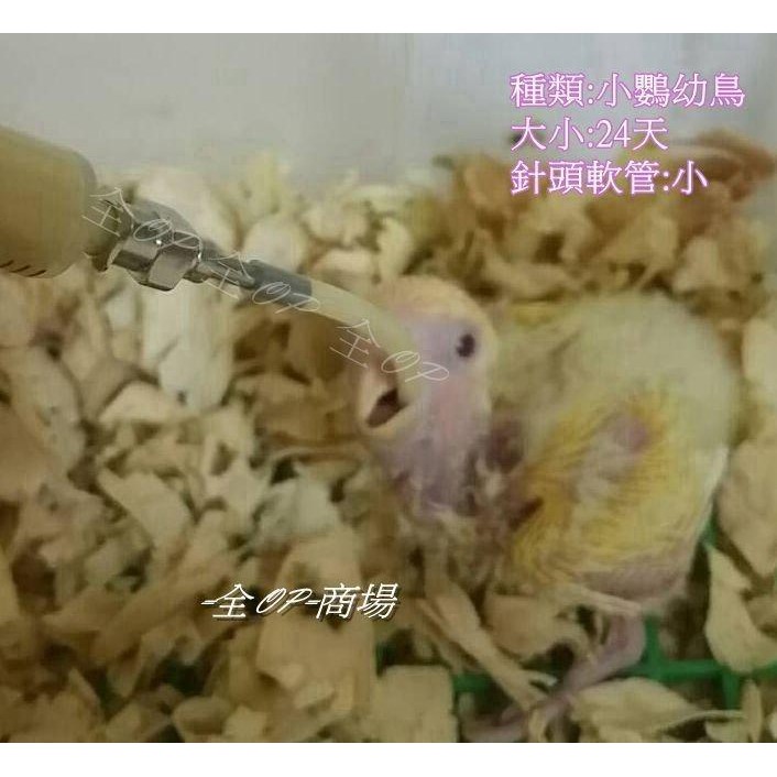 [限量特價中]塑鋼材質 針筒 鸚鵡幼鳥餵食器 奶器 烏龜 寵物餵食器  餵食針筒 10ML -50ML