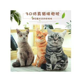 【當日出貨】3D 模擬 貓咪抱枕 創意 喵星人 午安枕 午睡枕 靠枕 抱枕 玩偶 聖誕節 情人節 情侶 生日禮物 D04