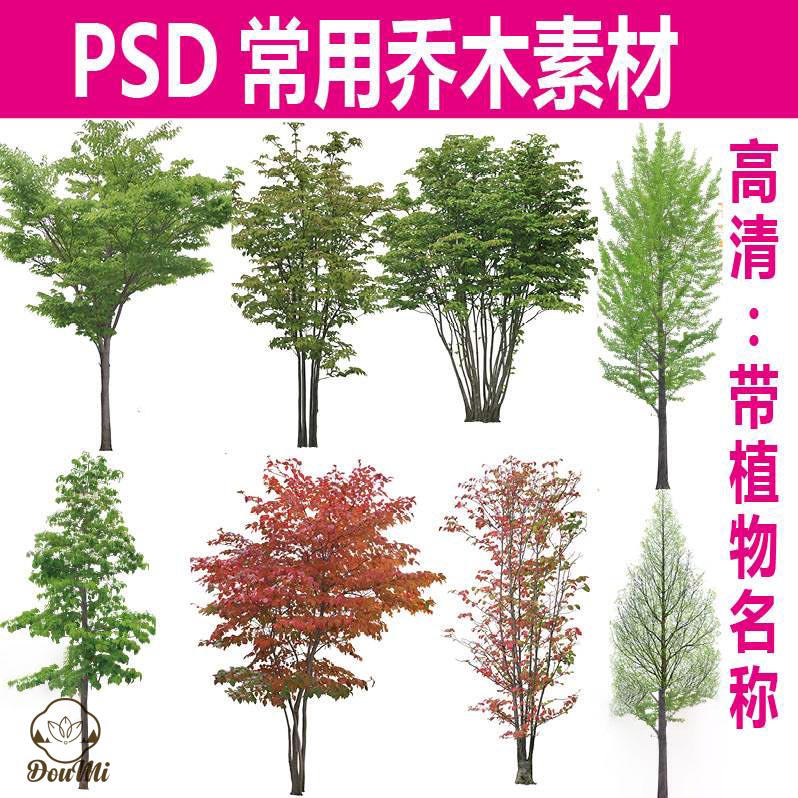 園林景觀高清香樟銀杏木槿楸玉蘭榕樹楓喬木psd植物后期疊加素材 蝦皮購物