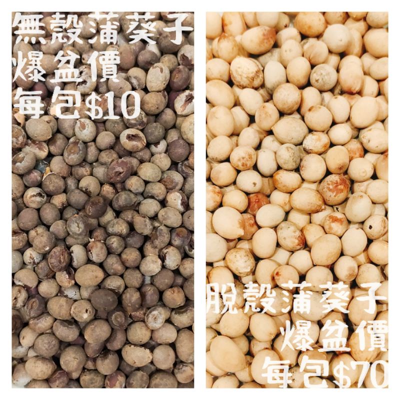 蔬菜種籽、種子，垂墜武竹、去殼蒲葵子（香菜、辣椒、芥藍、菜心、萵苣、茼蒿、菠菜、小白菜、大白菜、花椰菜、高麗菜、九層塔）