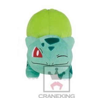 [GOGO嚴選] 日版 日貨 正版 pokemon 精靈寶可夢 神奇寶貝 太陽與月亮 妙蛙種子 娃娃 皮卡丘 忍蛙 神獸