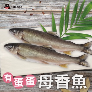【阿福宅急凍】母香魚5號有蛋蛋-1尾約180g"附發票"
