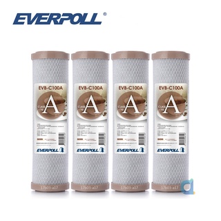EVERPOLL EVB-C100A壓縮活性碳濾芯(4支入) 10英吋一般標準通規 大大淨水