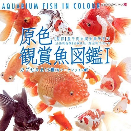 現貨yujin 原色觀賞魚圖鑑第一彈原色観賞魚図鑑金魚觀賞魚扭蛋轉蛋隱藏 蝦皮購物