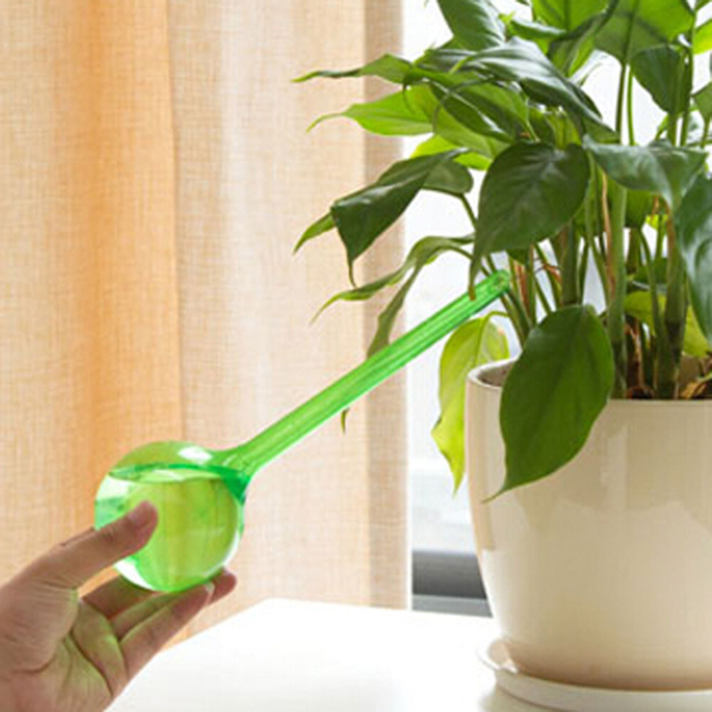 植物自動給水器 拍賣與ptt推薦商品 21年3月 飛比價格