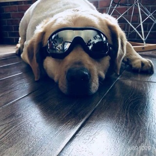 優選好物 寵物中大型犬專用墨鏡金毛太陽眼鏡柯基邊牧杜賓防曬哈士奇護目鏡 PADe