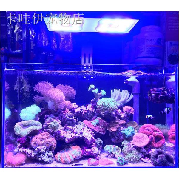 現貨熱銷 Flygo全光譜led智能海水珊瑚燈海水缸燈架水族箱魚缸照明燈水草燈 蝦皮 Line購物