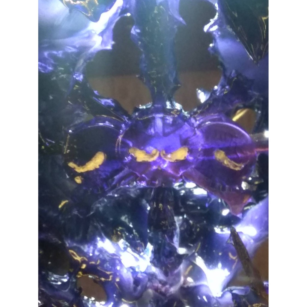 【海瀨的小舖】模改黑鬍子 景品 造型王！闇水~~果實發動！