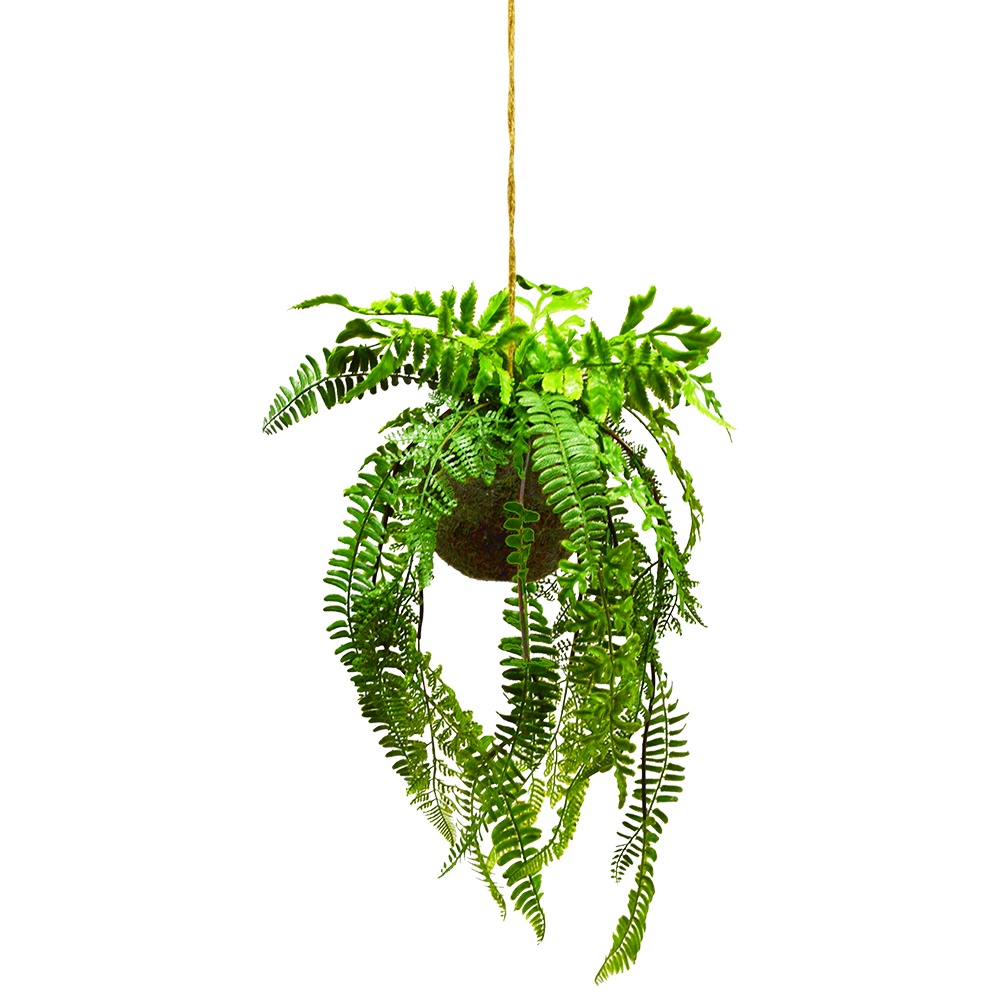 【YU Living】仿真吊掛式球型蕨類植物裝飾 人造盆栽(綠色) [折扣碼現折]