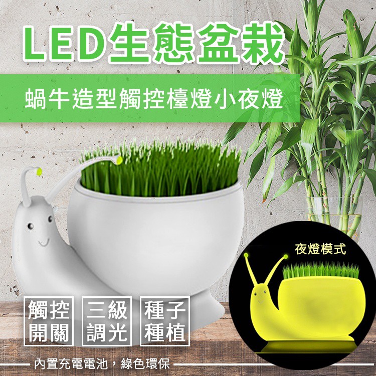 【A-MORE】 LED生態盆栽 蝸牛造型觸控燈 可種植物 植栽培養