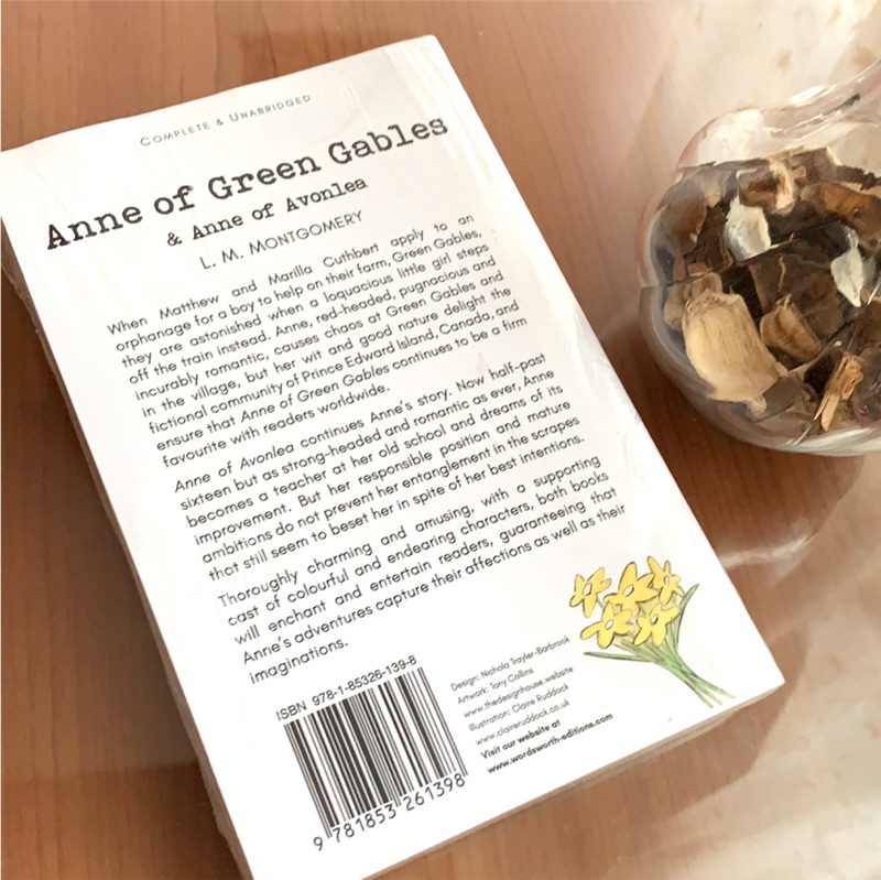 清秀佳人全新原文小說紅髮安妮anne Of Green Gables 英文小說勇敢的安妮novel 蝦皮購物