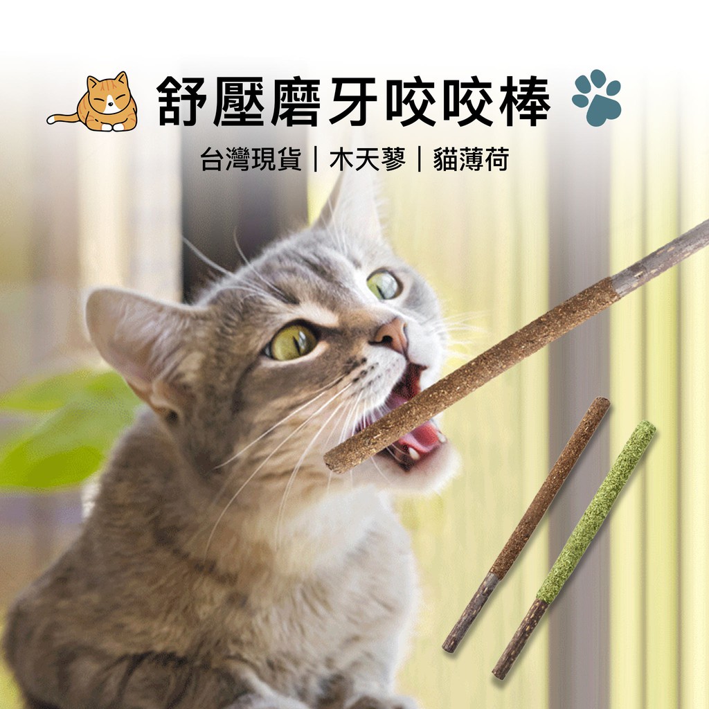 蟲癭果 Ptt討論與高評價網拍商品 21年8月 飛比價格