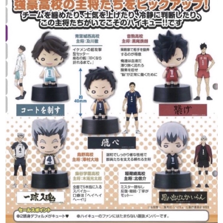 現貨排球少年烏野隊長 大地小公仔扭蛋 有些許瑕疵 請看商品說明 蝦皮購物
